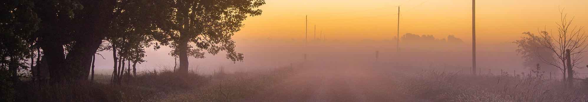 M. A. D. Farms photo 12